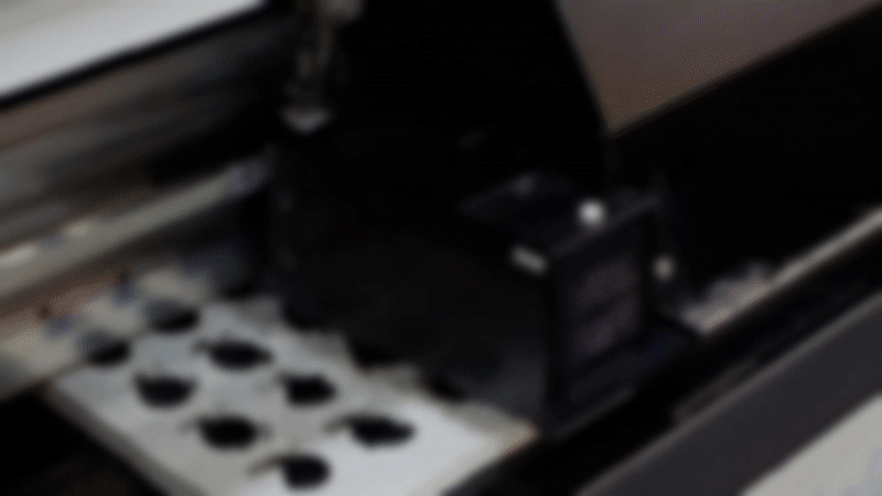 bigpix graphic systems inc