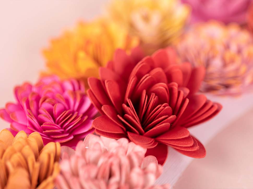 silhouette cameo pro