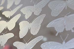 Mimaki UCJV300 Series UV Printer