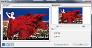 Mimaki UCJV300 Series UV Printer